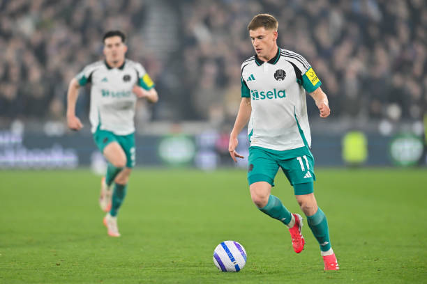 这也是他们 这也是他们